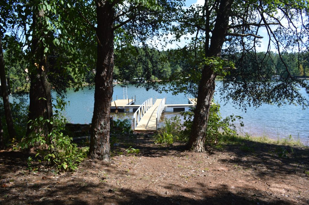 Palmetto Pointe boat dock and trees