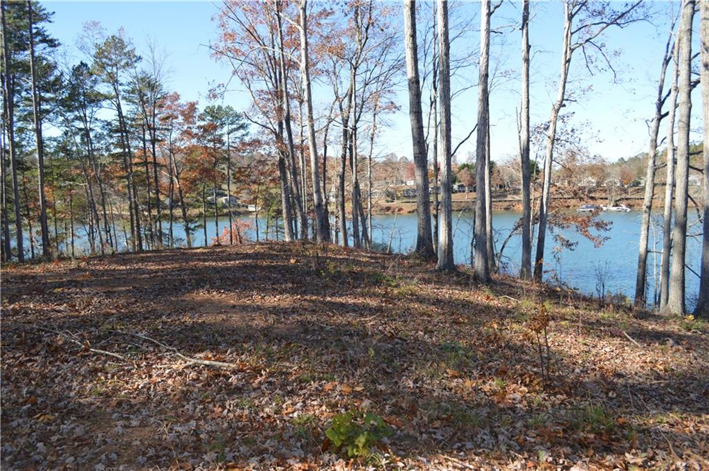 Peninsula Pointe South Lake Keowee Real Estate