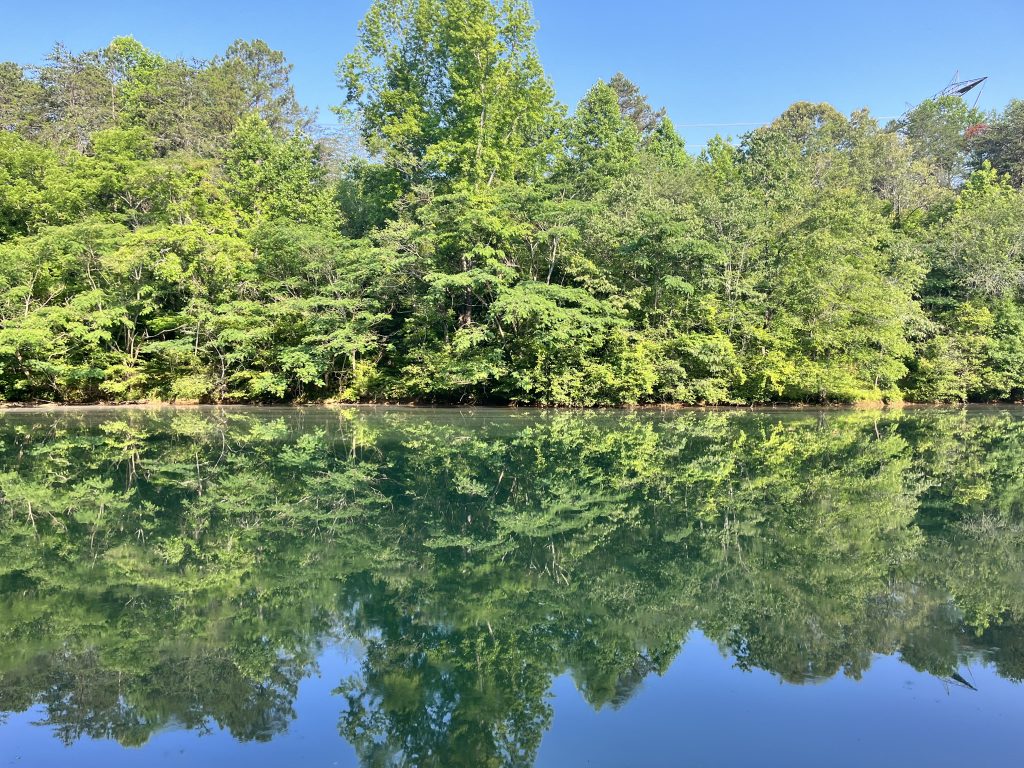 Cove Harbor On Lake Keowee Lake Keowee Real Estate
